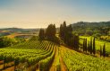 Savoring Tuscany: The Heart of Italian Cuisine